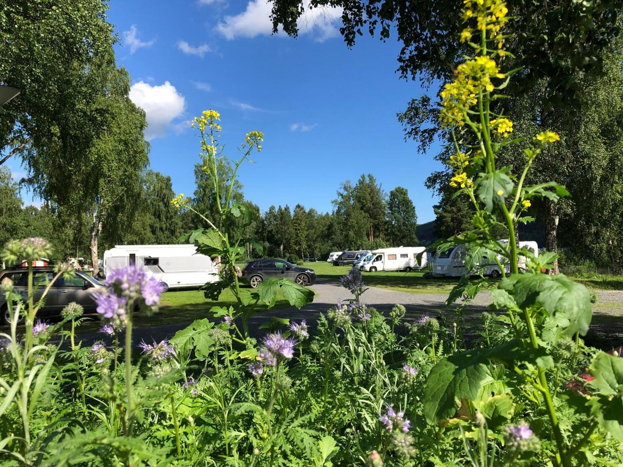 2 Persoons Stuga Hammarstrand Buitenkant foto
